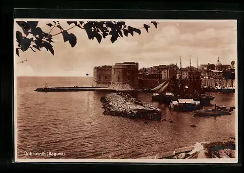 AK Dubrovnik, Küstenpartie