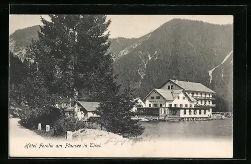 AK Plansee, Hotel Forelle