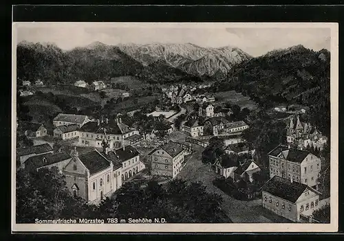 AK Mürzsteg, Die Sommerfrische aus der Vogelschau