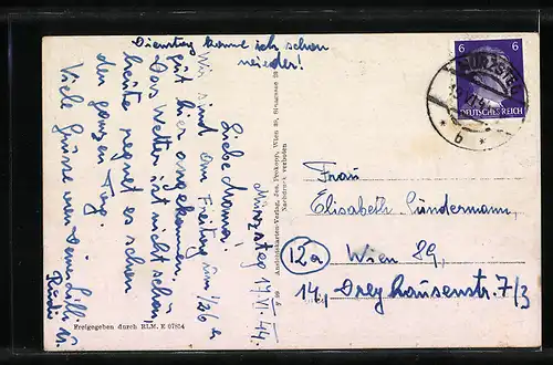 AK Mürzsteg, Gesamtansicht des Ortes