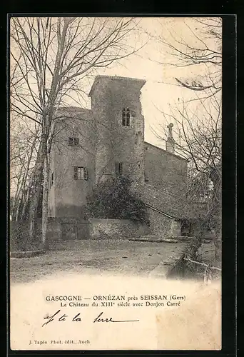 AK Gascogne-Ornézan, Le Château avec Donjon Carré