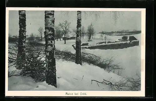 AK Orlik, Ruine im Winter