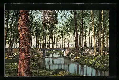 AK Oberpahlen, Waldstück mit Flusspartie und Brücke