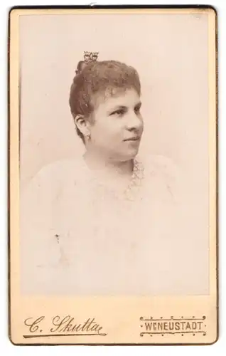 Fotografie Carl Skutta, Wiener-Neustadt, Bahngasse 27, Junge Dame mit hochgestecktem Haar