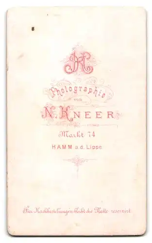 Fotografie N. Kneer, Hamm a. d. Lippe, Markt 74, Eleganter Herr mit grauem Vollbart