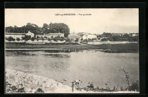 AK Art-sur-Meurthe, Vue generale