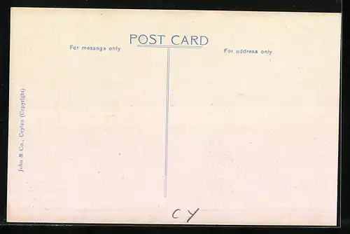 AK Colombo, Ochsenkarren, Colombo Customs