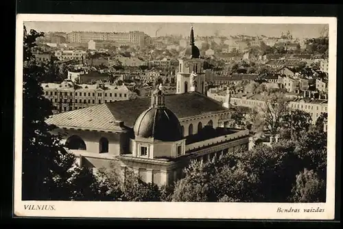 AK Vilnius, Bendras vaizdas