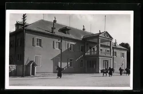 AK Cetinje, Dvor