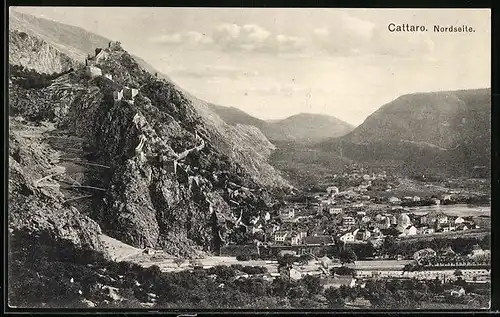 AK Kotor / Cattaro, Gesamtansicht der Nordseite