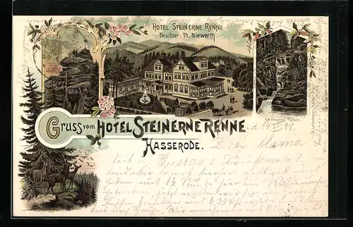 Lithographie Hasserode, Hotel Steinerne Renne Th. Niewerth, Ottofels, Rehe