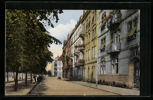 AK Ludwigshafen a. Rhein, Wittelsbachstrasse mit Bäumen