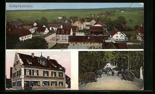 AK München-Forstenried, Kolonialwarenhandlung, Waldpartie mit Wildschweinen, Teilansicht