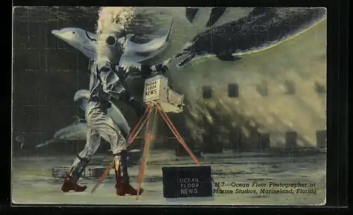 AK Marineland, Florida, Ocean Floor Photographer at Marine Studios, Taucher fotografiert Delfine