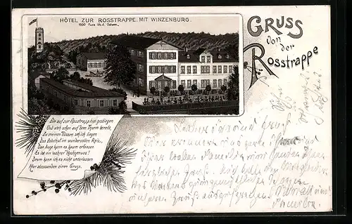 Vorläufer-Lithographie Thale /Harz, 1895, Hotel zur Rosstrappe und die Winzenburg