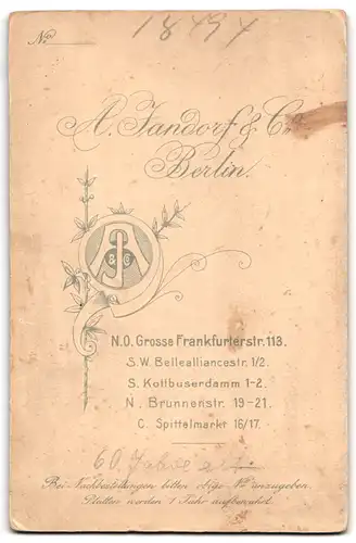 Fotografie A. Jandorf & Co., Berlin, Bürgerliche Dame mit Zwicker