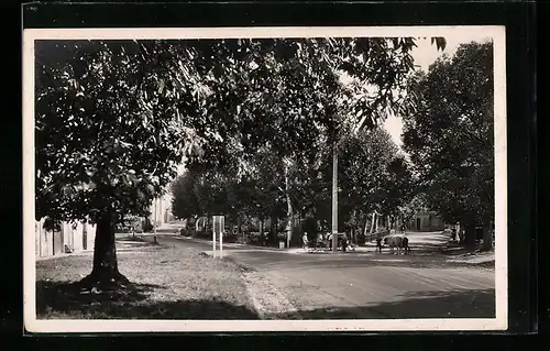 AK Miramont-De-Guyenne, Avenue de Marmande