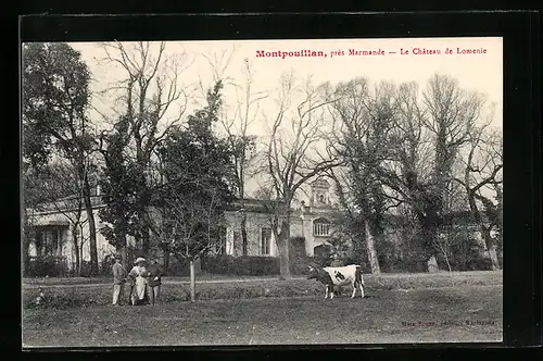 AK Montpouillan, Le Chateau de Lomenie