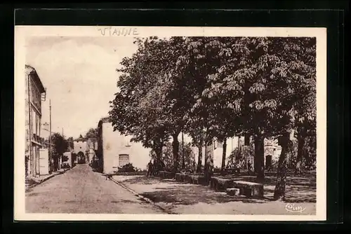 AK Vianne, Place des Marronniers