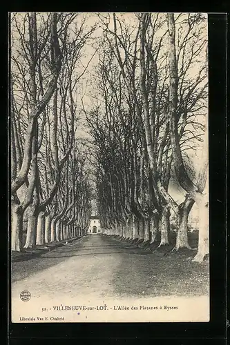 AK Villeneuve-sur-Lot, L`Allée des Platanes à Eysses