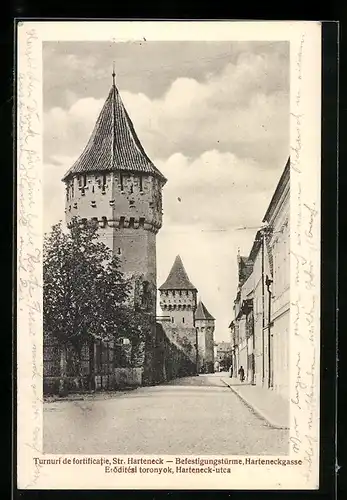 AK Hermannstadt / Sibiu / Nagyszeben, Eröditési toronyok, Harteneck-utca, Befestigungstürme an der Harteneckgasse