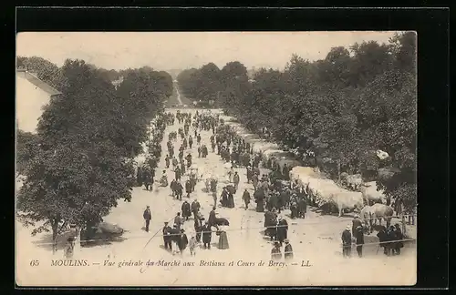 AK Moulins, Vue générale du Marché aux Bestiaux et Cours de Bercy