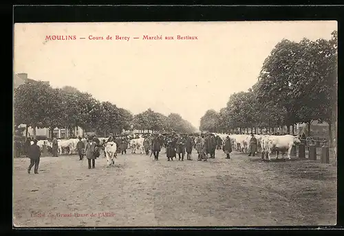 AK Moulins, Cours de Bercy Marché aux Bestiaux