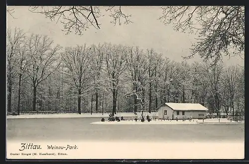 AK Zittau, Weinau-Park im Winter