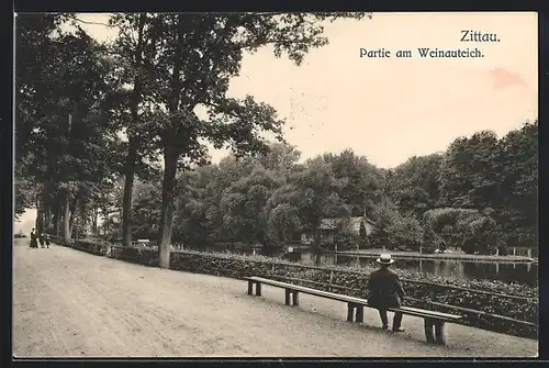 AK Zittau, Partie am Weinauteich