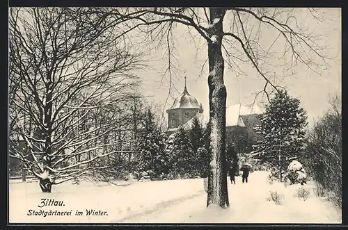 AK Zittau, Stadtgärtnerei im Winter