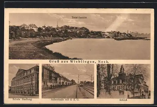 AK Wieblingen /Neck., Adlerstrasse, Schloss, Schule, Siedlung