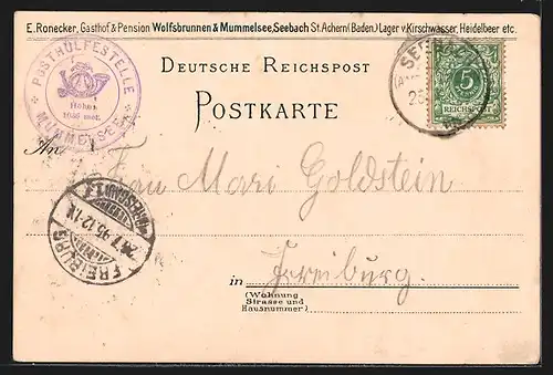 Vorläufer-Lithographie Mummelsee, 1895, Uferpartie mit Nixe, Mummelsee-Sage