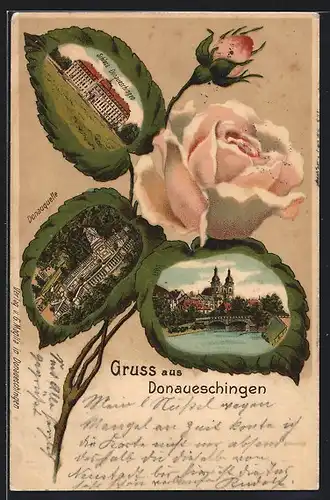 Passepartout-Lithographie Donaueschingen, Schloss, Donauquelle, Rosenblüte