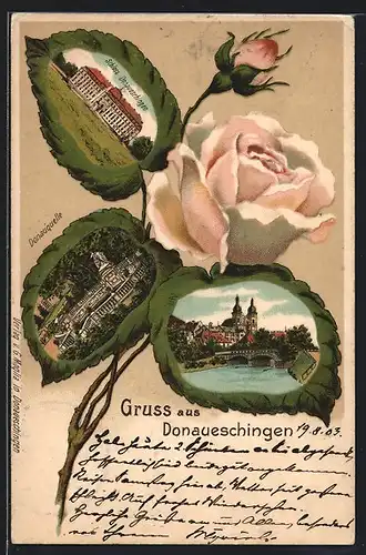 Passepartout-Lithographie Donaueschingen, Schloss, Donauquelle, Rosenblüte