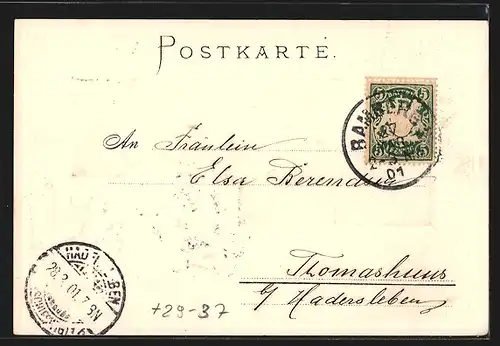 Passepartout-Lithographie Bamberg, Regnitzpartie, Wappen