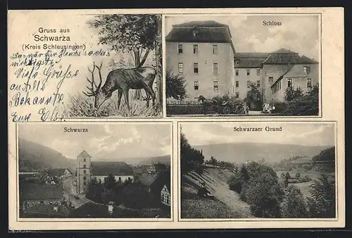 AK Schwarza / Schleusingen, Schloss und Schwarzaer Grund