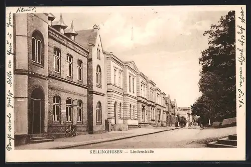 AK Kellinghusen, Lindenstrasse mit Gebäudeansicht