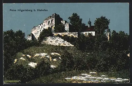 AK Vilshofen, Ruine Hilgartsberg