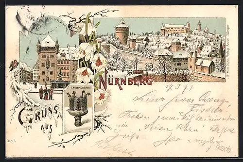 Winter-Lithographie Nürnberg, Gänsemännchen, Jugendbrunnen, Nassauer Haus