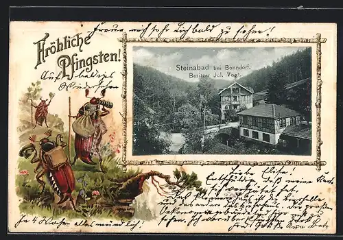 Passepartout-Lithographie Bonndorf, Gasthaus Steinabad, Maikäfer