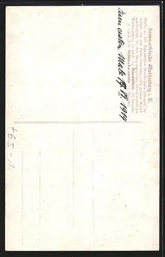 AK Muldenberg, Bahn-Restaurant, Bahnhof von der Gleisseite