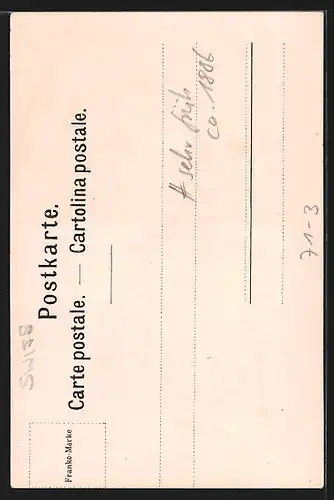 Lithographie Rheinfall, Ortsansicht aus der Vogelschau