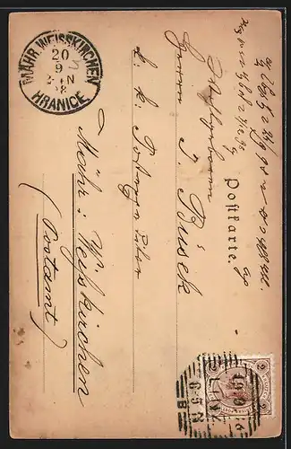 Künstler-AK Linz, Blick von der Pöstlingbergbahn