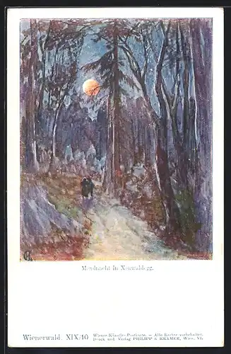 Künstler-AK Philipp + Kramer Nr. XIX /10: Mondnacht in Neuwaldegg