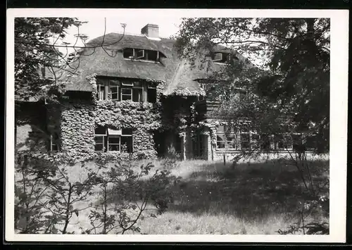 Fotografie Jos. Nuss, Eemnes, Ansicht Ede / Gelderland, Villa mit Reetdach, Wilder Wein wächst an der Fassade