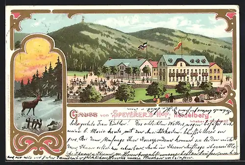 Lithographie Heidelberg, Gasthaus Speyerer`s Hof