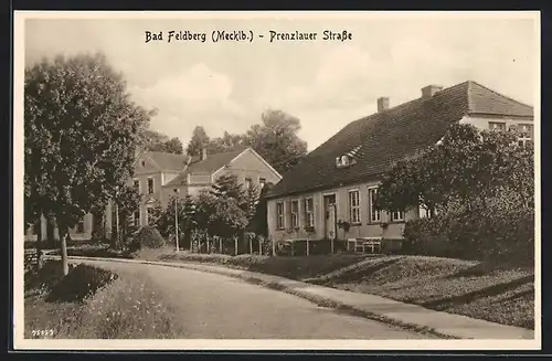 AK Bad Feldberg / Meckl., Teilansicht mit Prenzlauer Strasse