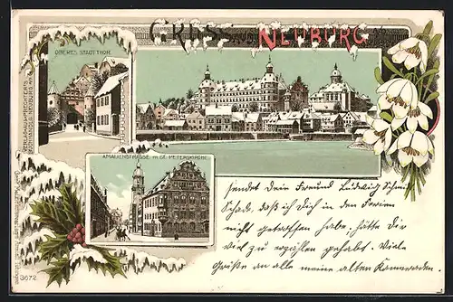 Winter-Lithographie Neuburg a. D., Amalienstrasse mit St. Peterskirche, Obere Stadtthor, Schloss