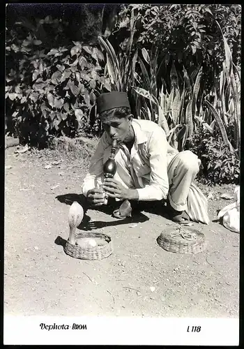 Fotografie Orientalischer Schlangenbeschwörer bändigt eine Kobra