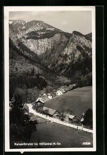 AK Kaiserbrunn im Höllental, Teilansicht mit Strassenpartie